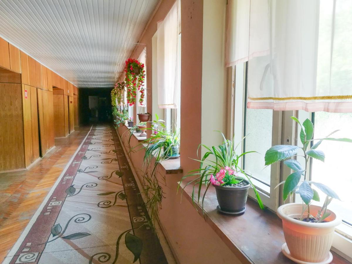 Гостиница Ива Gagra Ngoại thất bức ảnh